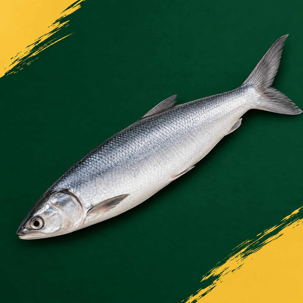 Milk fish/ Poomeen  Marinated
