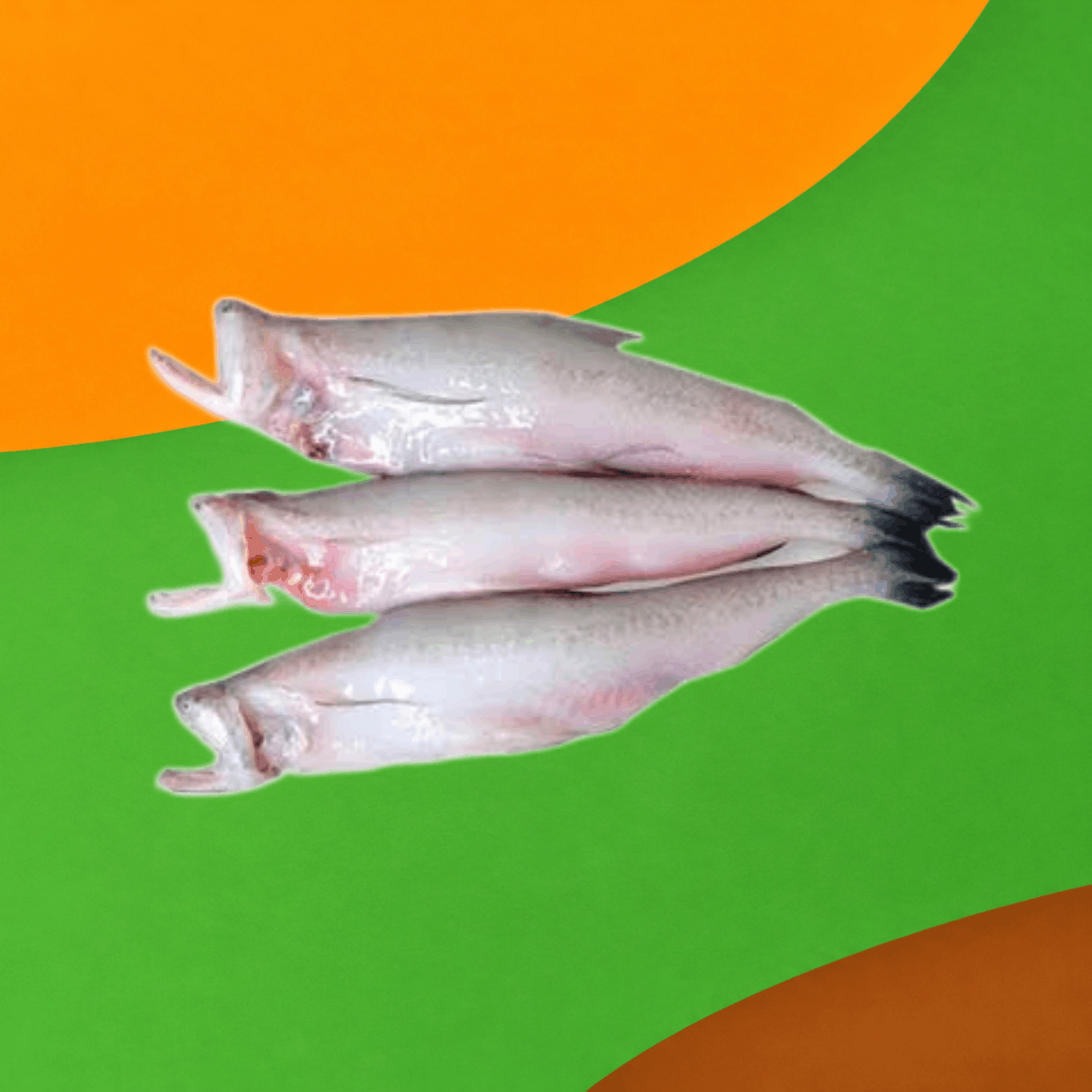 Bombay Duck /Bambal
